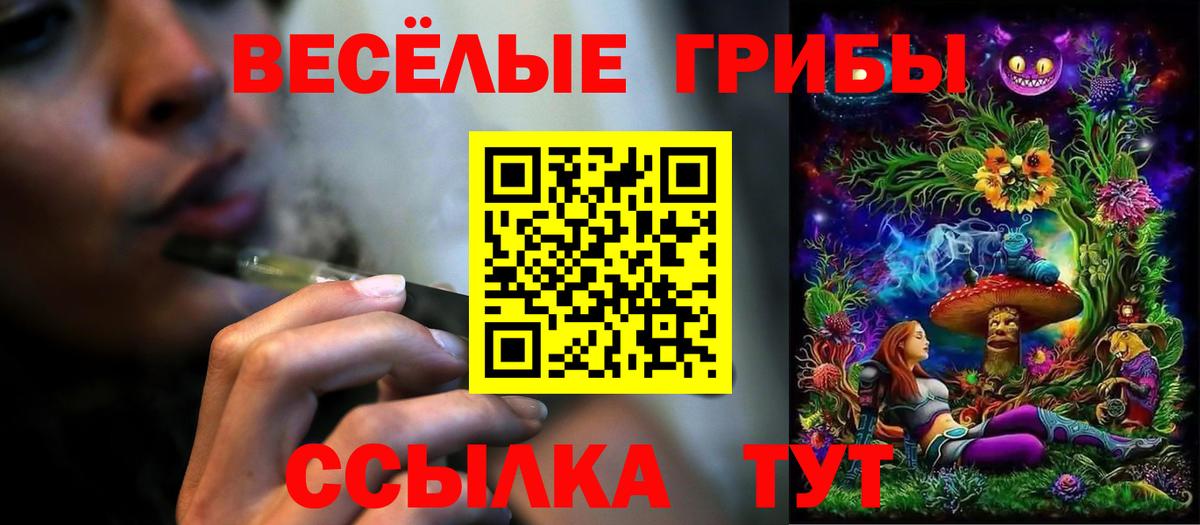 Брянск  Псилоцибиновые грибы прущие грибы  Вход с VPN 